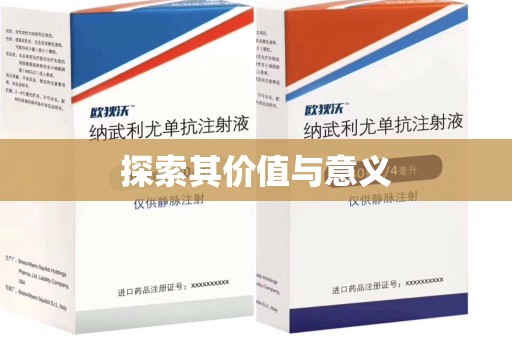 银川探索其价值与意义