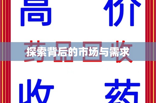 银川探索背后的市场与需求