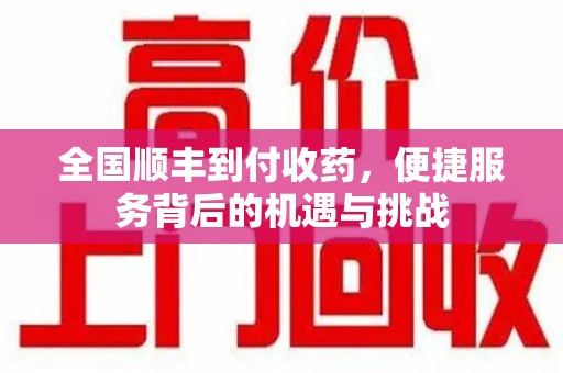 银川全国顺丰到付收药，便捷服务背后的机遇与挑战