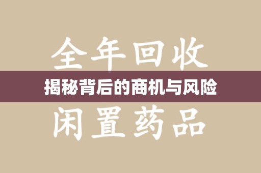 银川揭秘背后的商机与风险