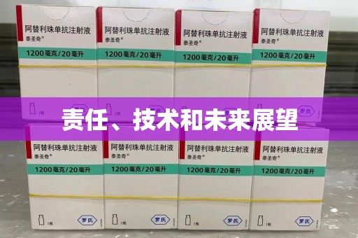 银川责任、技术和未来展望