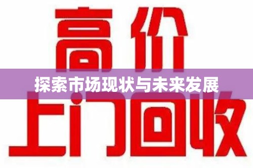 银川探索市场现状与未来发展