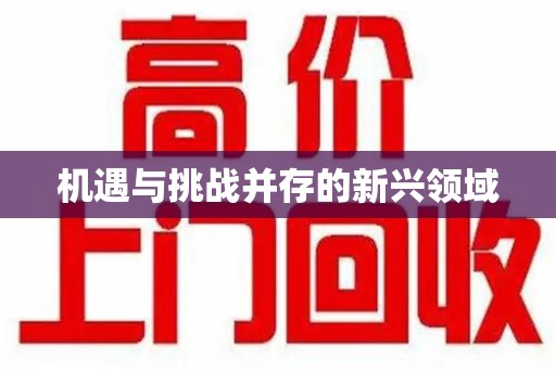 银川机遇与挑战并存的新兴领域