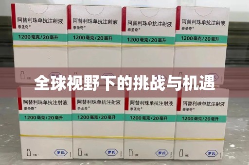 银川全球视野下的挑战与机遇