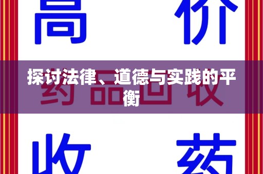 银川探讨法律、道德与实践的平衡