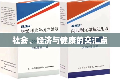 银川社会、经济与健康的交汇点