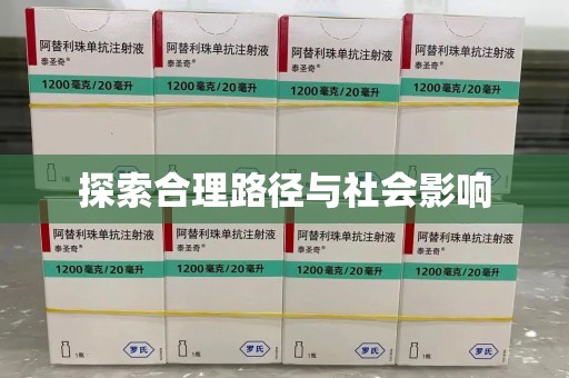 银川探索合理路径与社会影响