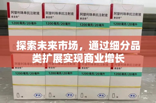 银川探索未来市场，通过细分品类扩展实现商业增长