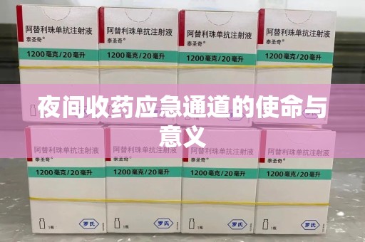银川夜间收药应急通道的使命与意义