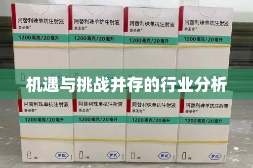 银川机遇与挑战并存的行业分析