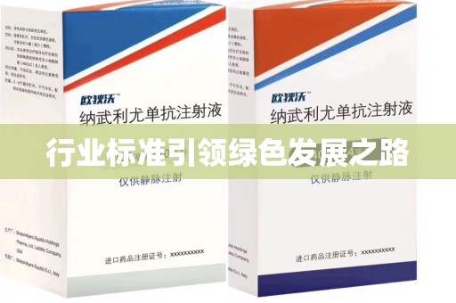 银川行业标准引领绿色发展之路