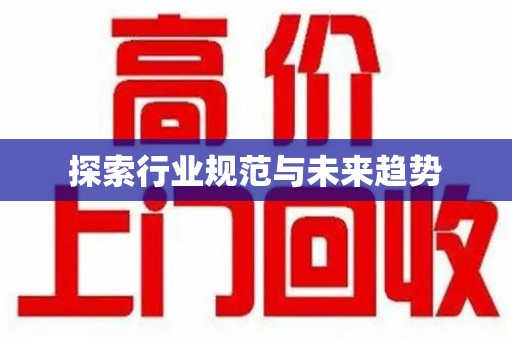 银川探索行业规范与未来趋势