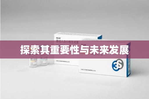 银川探索其重要性与未来发展