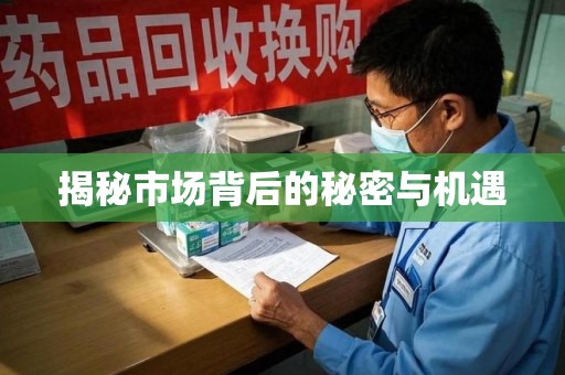 银川揭秘市场背后的秘密与机遇
