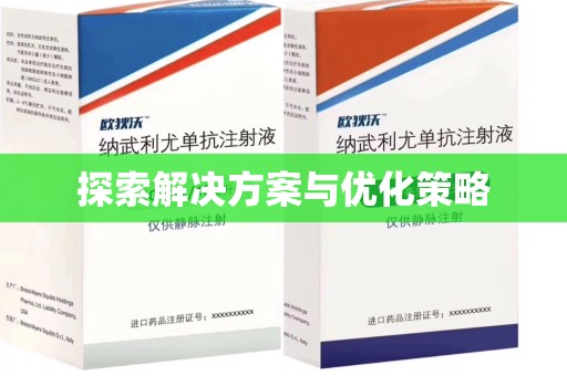 银川探索解决方案与优化策略
