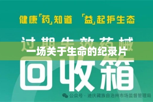 银川一场关于生命的纪录片