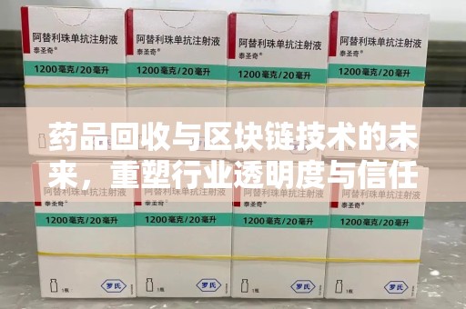 银川药品回收与区块链技术的未来，重塑行业透明度与信任