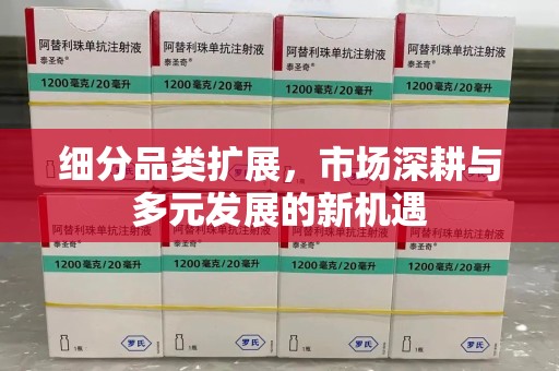 银川细分品类扩展，市场深耕与多元发展的新机遇