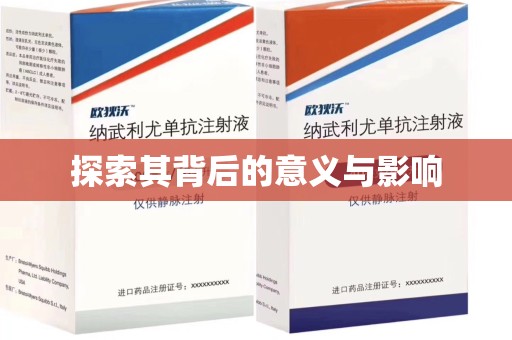银川探索其背后的意义与影响