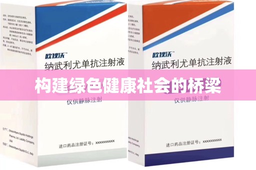 银川构建绿色健康社会的桥梁