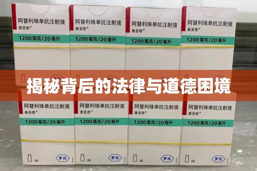 银川揭秘背后的法律与道德困境