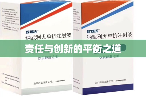银川责任与创新的平衡之道