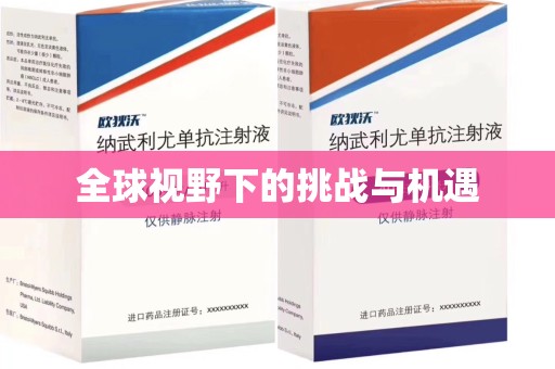 银川全球视野下的挑战与机遇