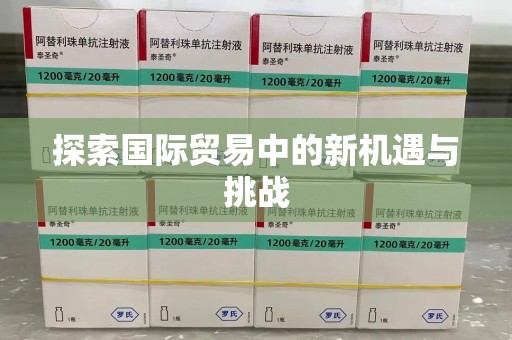 银川探索国际贸易中的新机遇与挑战