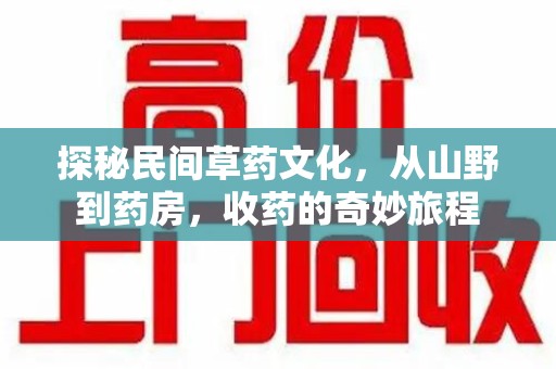 银川探秘民间草药文化，从山野到药房，收药的奇妙旅程
