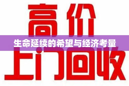 银川生命延续的希望与经济考量