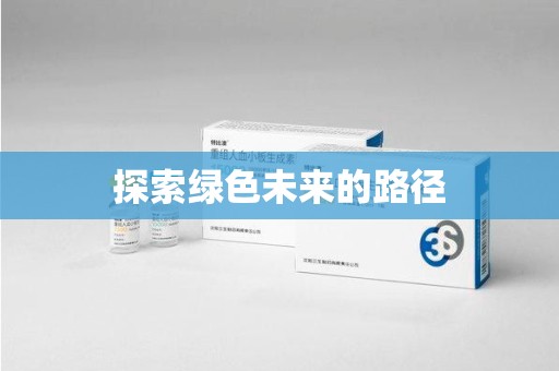 银川探索绿色未来的路径