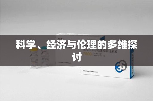 银川科学、经济与伦理的多维探讨