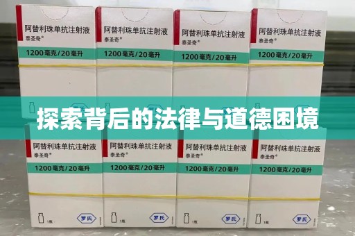 银川探索背后的法律与道德困境