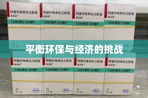 银川平衡环保与经济的挑战