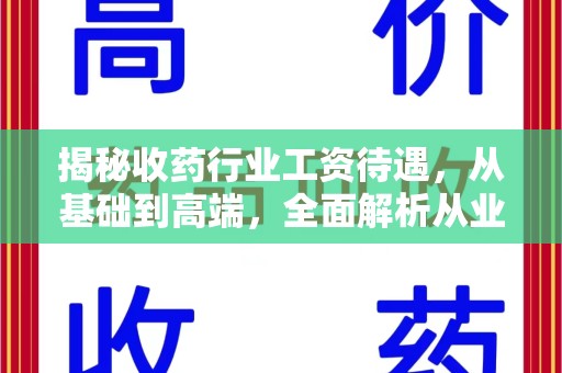 银川揭秘收药行业工资待遇，从基础到高端，全面解析从业者收入水平