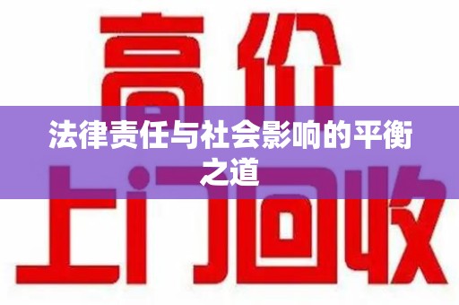 银川法律责任与社会影响的平衡之道